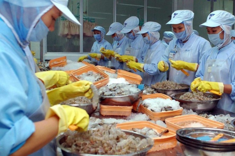 Chi tiết danh mục thủy sản bắt buộc kiểm dịch và miễn kiểm dịch