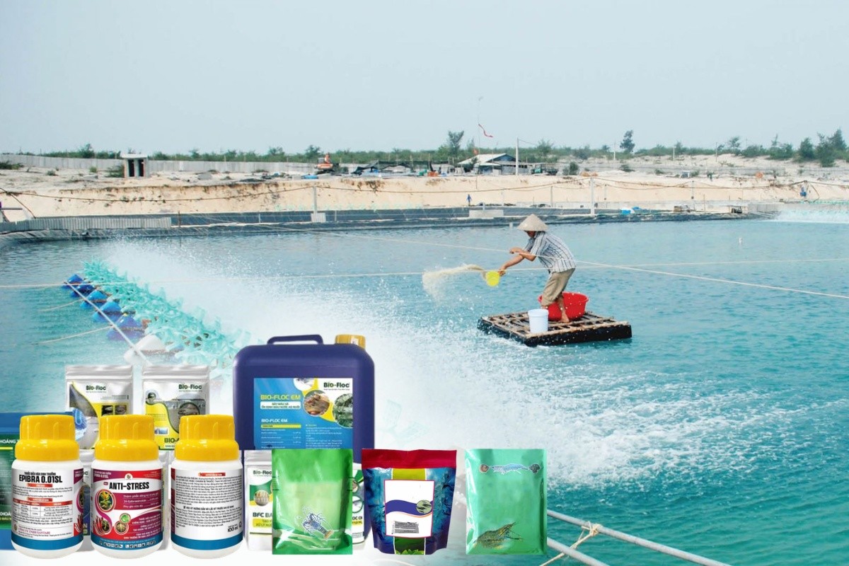 Ứng dụng chế phẩm sinh học trong phòng ngừa bệnh thủy sản