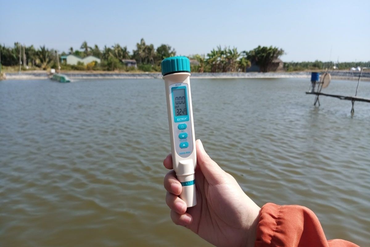 Nuôi tôm càng đo nhiều chỉ số càng rối