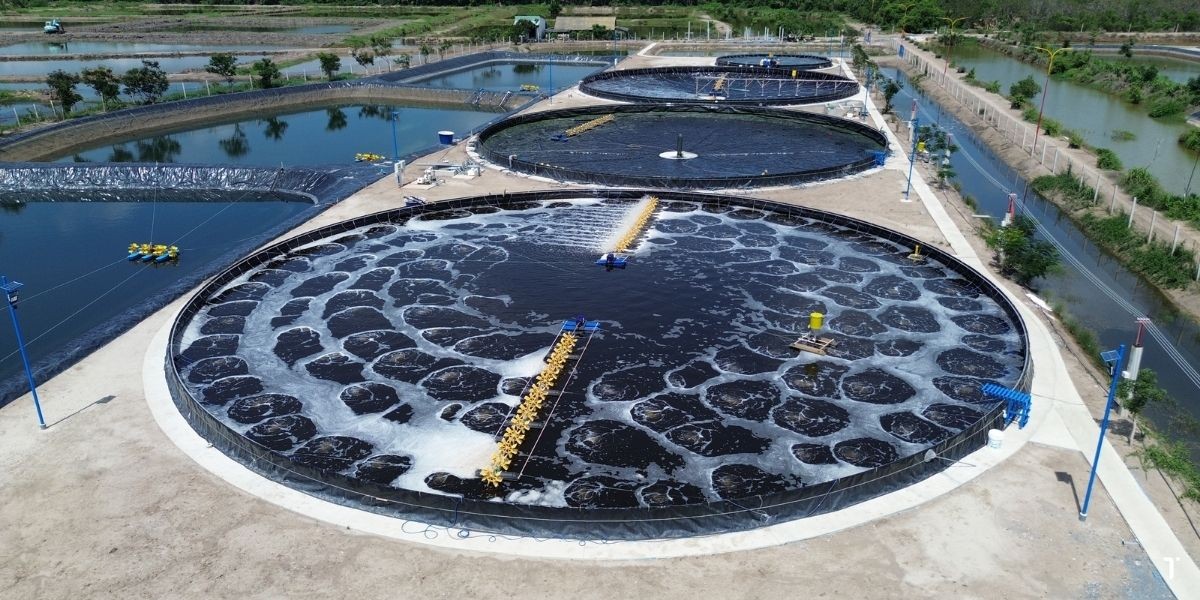 Mô hình VAC truyền thống nhường chỗ cho kỷ nguyên nông nghiệp công nghệ cao và Aquaculture 4.0