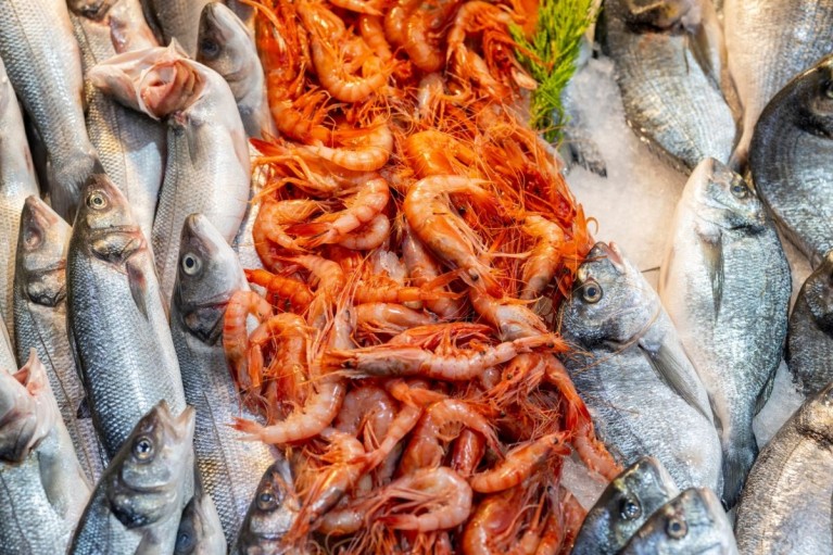 Mẹo chọn hải sản tươi khi đi chợ: Nhìn đúng để mua không bị hớ