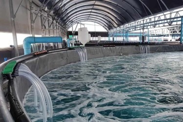 Một số thành quả khi người nuôi chuyển mô hình nuôi