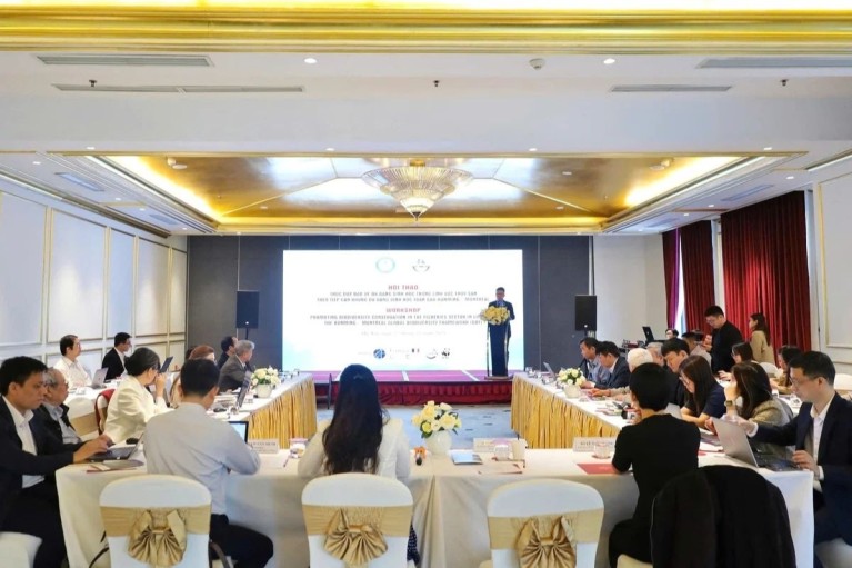 Việt Nam xây dựng kế hoạch bảo vệ đa dạng sinh học thủy sản theo khung Montreal