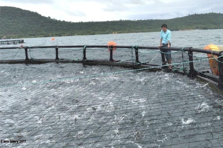 Nuôi trồng thủy sản theo phương pháp tiết kiệm chi phí: Hướng đi bền vững cho nông dân