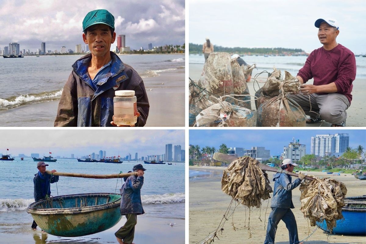 Ngư dân Mân Thái phấn khởi đón Tết nhờ mùa tôm hùm giống bội thu
