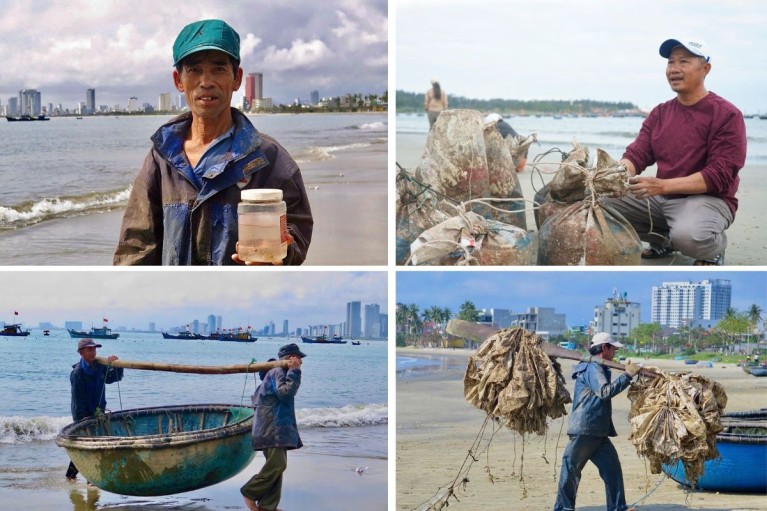 Ngư dân Mân Thái phấn khởi đón Tết nhờ mùa tôm hùm giống bội thu