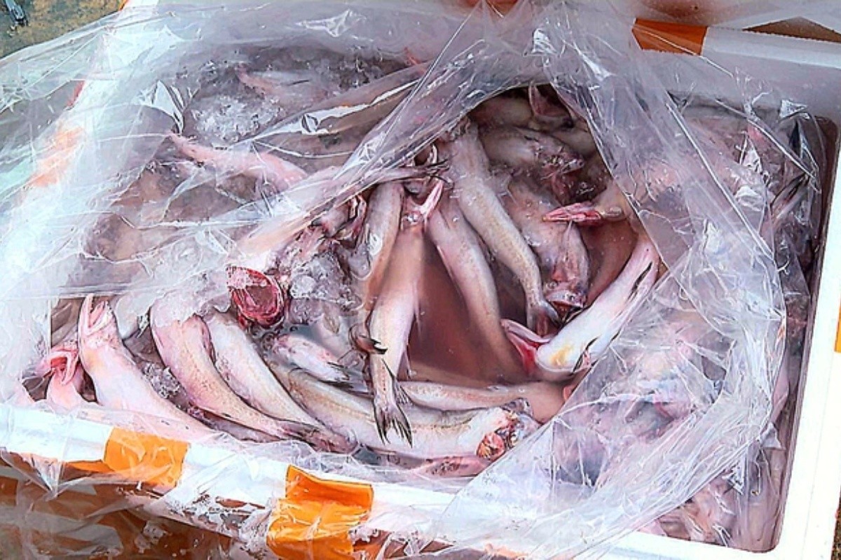 Bộ Nông nghiệp và Môi trường trả lời cử tri TP.HCM về giải pháp ngăn thực phẩm bẩn