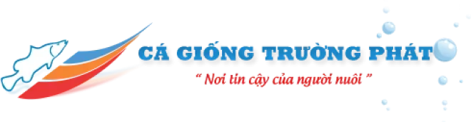 Thương Hiệu Cá Giống Uy Tín