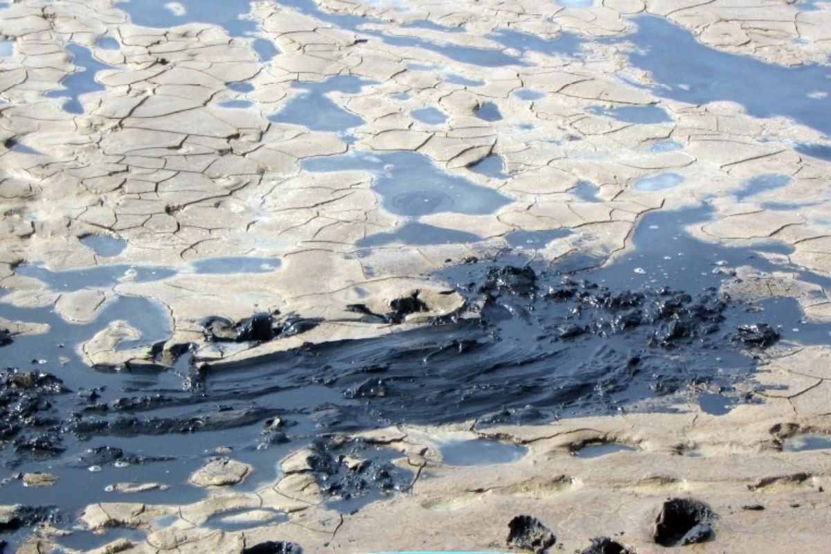 Xử lý mùn bã hữu cơ đáy ao trong nuôi tôm giữa vụ