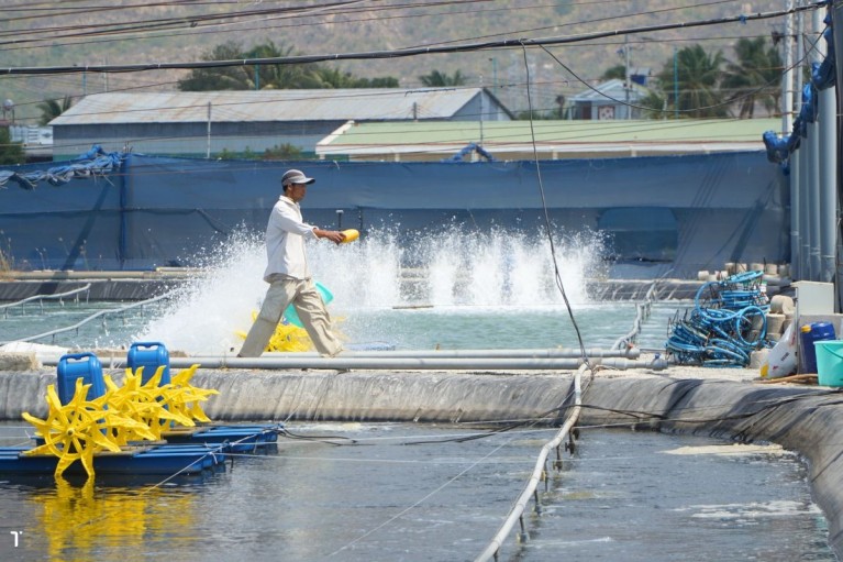 Creator thủy sản: Nghề mới trong thời đại 4.0