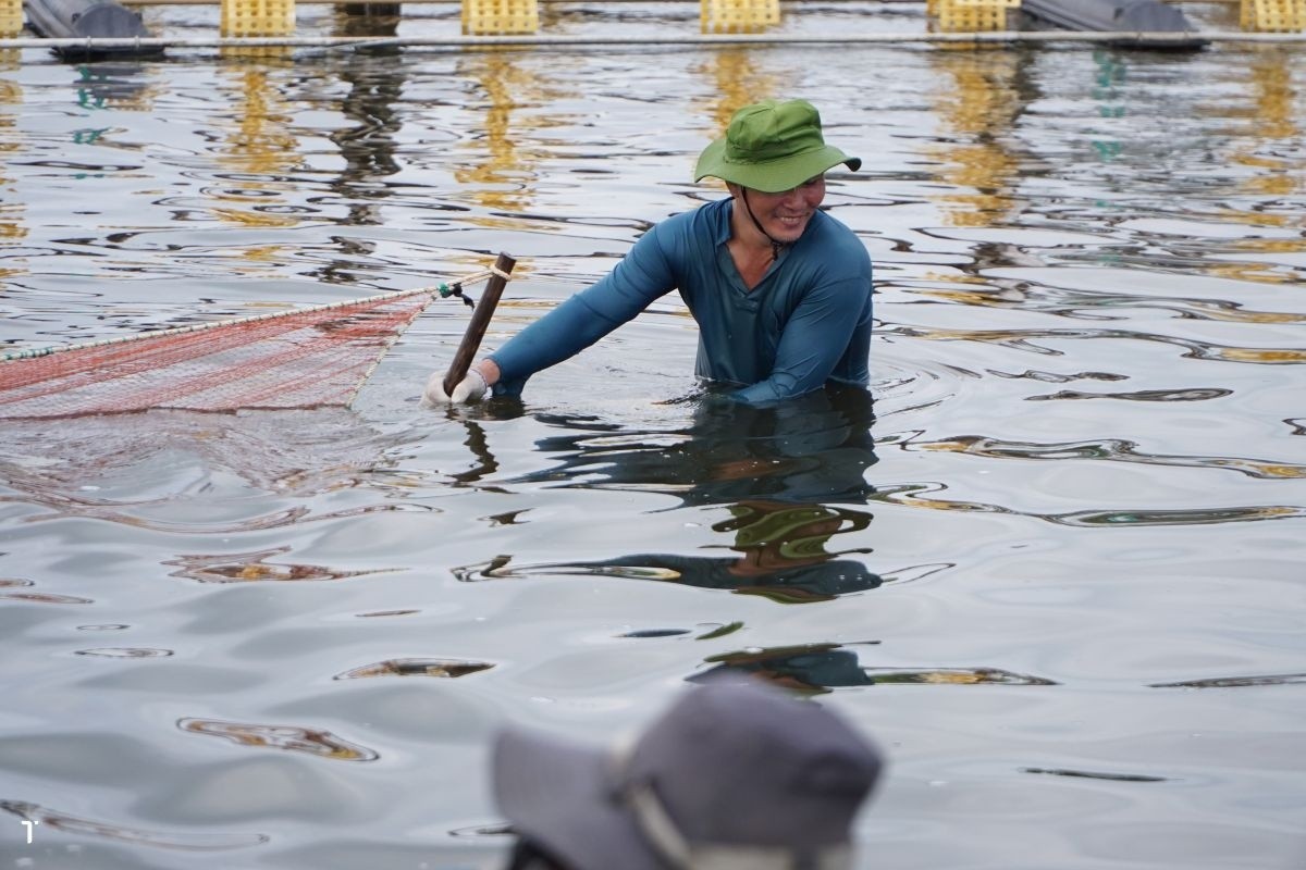 Kiểm chứng các kinh nghiệm truyền miệng trong ngành nuôi tôm