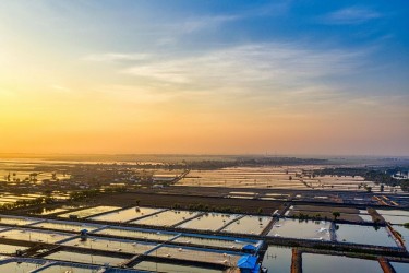 Chiến lược xanh hóa: "Giấy thông hành" bắt buộc của thủy sản Việt Nam