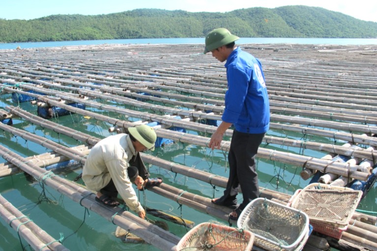 Giải pháp can thiệp hóa chất trong nuôi trồng thủy hải sản