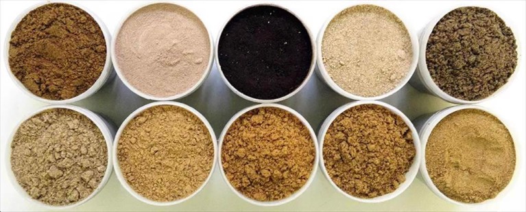 Ấn Độ gỡ bỏ thuế Artemia, giảm chi phí đầu vào cho ngành thủy sản