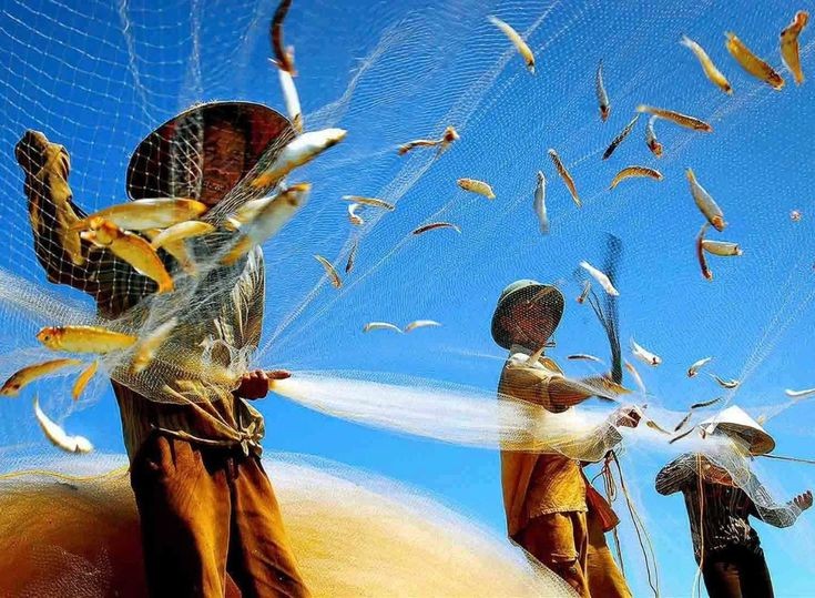 Thủy sản quý I/2026: Nuôi trồng dẫn dắt tăng trưởng, khai thác biển tiếp tục chững lại