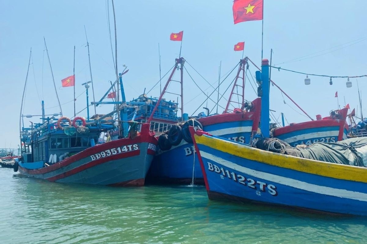 Ngành thủy sản Gia Lai duy trì ổn định sản xuất, tăng cường giải pháp chống khai thác IUU