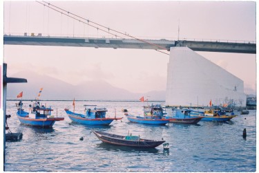 Bình Định tăng cường thực hiện nhiệm vụ chống khai thác IUU