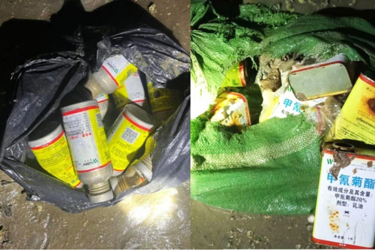 Quảng Ninh truy tìm nguồn hóa chất lạ gây ra thủy sản chết trắng ven biển