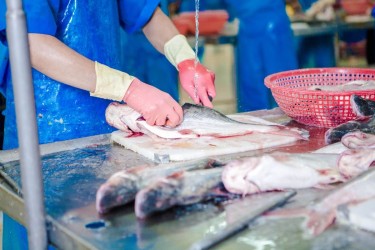 Những điểm cần lưu ý về thuế GTGT khi mua bán nông, lâm, thủy sản “chưa chế biến”