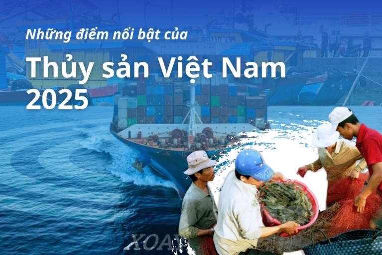 Những điểm nhấn nổi bật của ngành thủy sản Việt Nam trong năm 2025