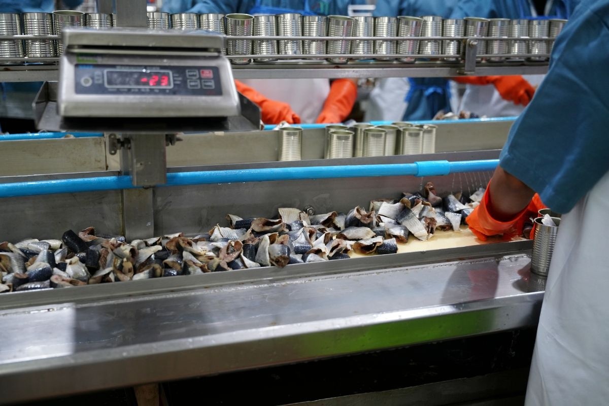 Quy định mới về động vật, sản phẩm động vật thủy sản thuộc diện phải kiểm dịch, miễn kiểm dịch