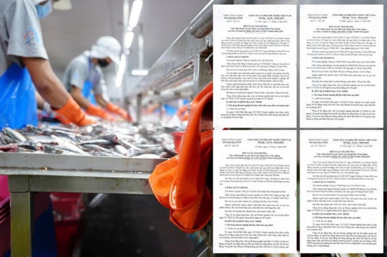 Thanh tra tỉnh Cà Mau chỉ ra loạt thiếu sót tại 4 doanh nghiệp thủy sản