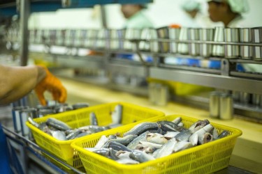 NOAA giải đáp 9 vấn đề then chốt về quy định MMPA cho thủy sản Việt xuất Mỹ