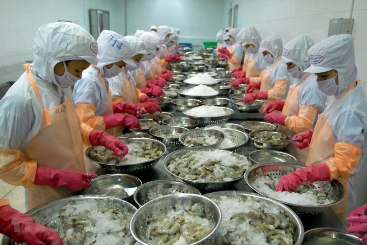 Giá tôm nguyên liệu giảm sâu dù nguồn cung hạn chế