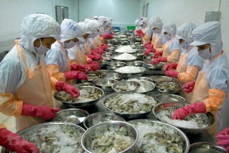 Giá tôm nguyên liệu giảm sâu dù nguồn cung hạn chế