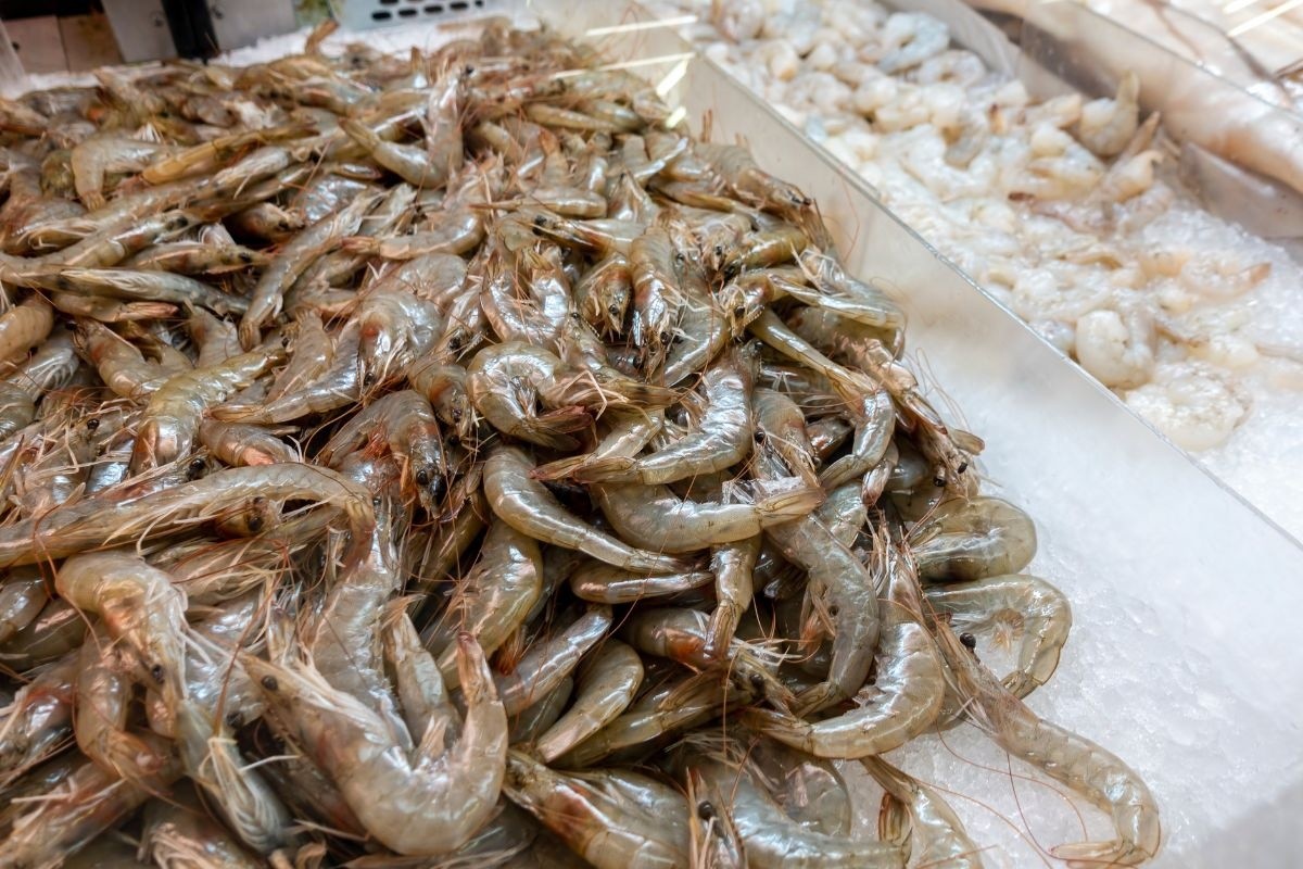 Những thông số bắt buộc phải biết trên nhãn mác thủy sản đóng gói