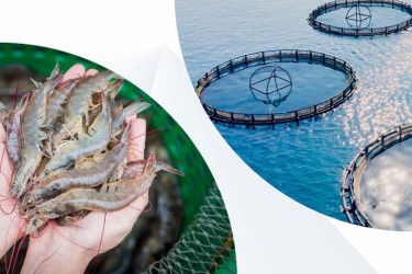 Vietagros 2026: Thúc đẩy xu hướng tiêu dùng xanh