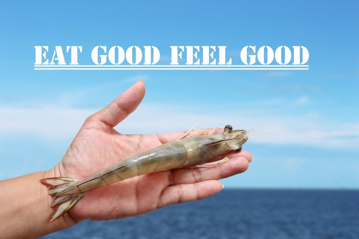 Nuôi sạch để tôm khỏe, tôm chuẩn để ăn ngon