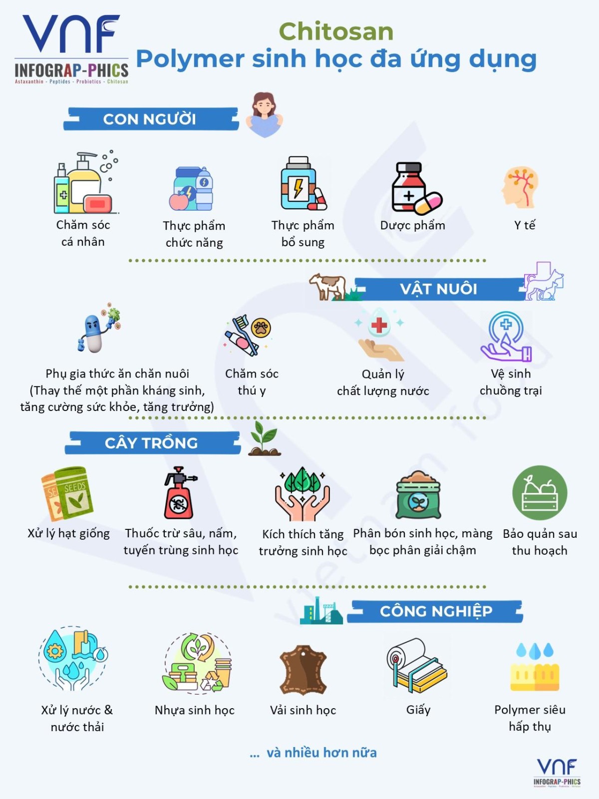 VNF Infographic Series: Chitosan – Polymer sinh học đa ứng dụng