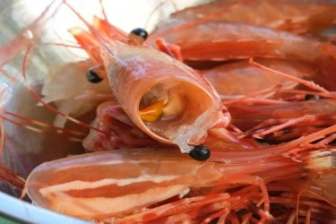 Ăn vỏ tôm có thật sự giàu canxi như nhiều người vẫn nghĩ?