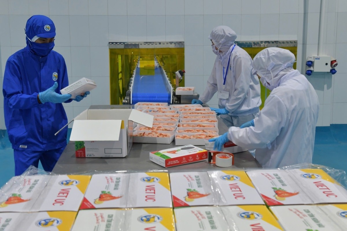 Xuất khẩu thủy sản Hoa Kỳ gặp khó vì vướng thủ tục COA