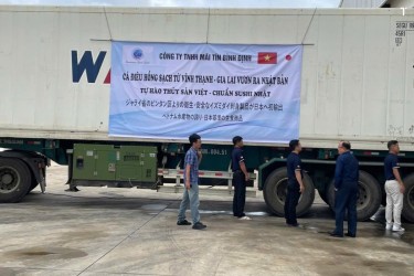 Gia Lai xuất khẩu 11 tấn cá điêu hồng sang Nhật Bản